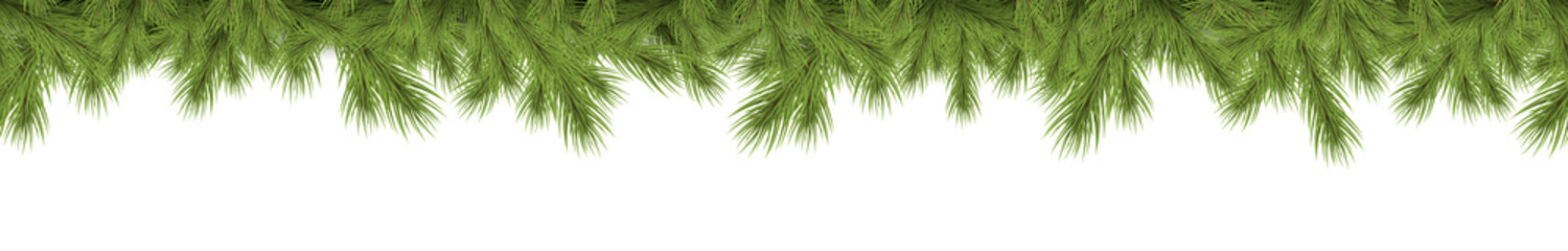 seamless fir branch on upper side