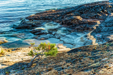 Ladoga lake- visit the national Park
