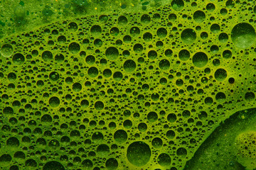 Abstract liquid background fresh green vegetable juice with water bubbles, geometric circles chlorophyll - obrazy, fototapety, plakaty
