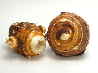 サトイモの白バック