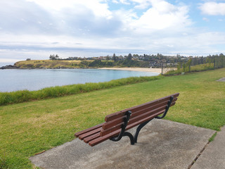 bench in the park horizon view