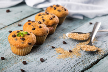 Chocolate vanilla fresh delicious muffins on blue wooden background