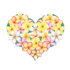 Frangipani flowers in heart shape. Hand painted in watercolor. - 306906680