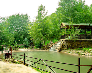 trees, a small lake and a wooden gazebo