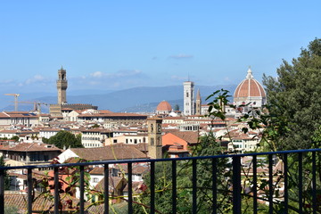 Naklejka premium View of Florence with the Palazzo Vecchio and the Cattedrale di Santa Maria del Fiore with the Campanile di Giotto and Brunelleschi's Dome. Italy.