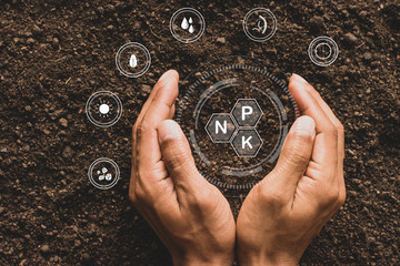 The fertile loamy soil for planting with the iconic technology in soil is the essential food of...
