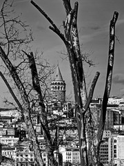 Galata tower and cityscape of Istanbul