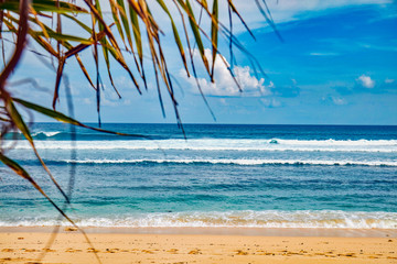 Fototapeta na wymiar Exotic blue tropical ocean / sea tropical scenery.