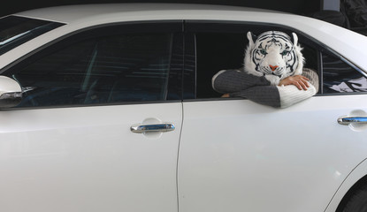 masked tiger man in car
