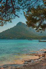 View of Turquoise Sea From the Beach With Mediterranean Pine Trees on the Formentor Peninsula on the Balearic Island of Mallorca