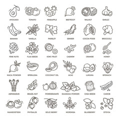 Superfoods line vector icons.