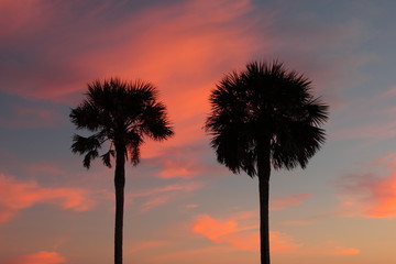 Red and orange sunset with palm trees on the beach in Florida in winter