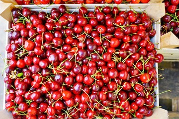 Fresh organic cherries at a farmers market