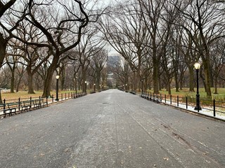 Central Park New York City. First snowfall.