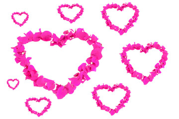 heart pattern of pink natural bougainvillea flowers for valentines day