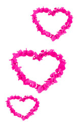 heart pattern of pink natural bougainvillea flowers for valentines day