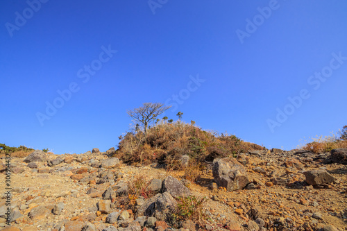 えびの高原 白鳥山 登山道 宮崎県えびの市 Ebino Plateau Mt Shiratori Trail Miyazaki Ebino City Wall Mural M H