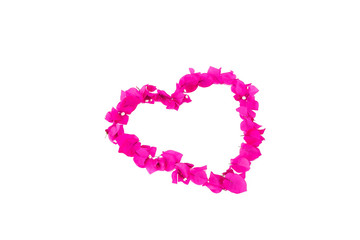 heart pattern of pink natural bougainvillea flowers for valentines day