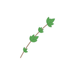 Thyme leaf icon flat style