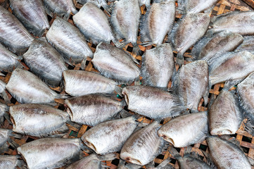 fresh fish at a market in bangkok,thailand