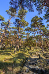 えびの高原　登山道　宮崎県えびの市　Ebino plateau　Trail　Miyazaki　Ebino city