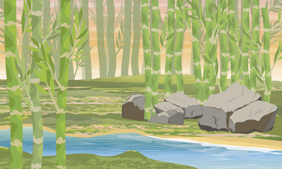 Obraz premium Riverside with bamboo and stones. Bamboo forest. Realistic vector landscape