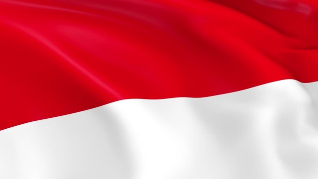Photo realistic slow motion 4KHD flag of the Monaco waving in the wind.  Seamless loop animation with highly detailed fabric texture in 4K resolution.