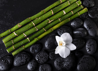 Bamboo sticks with black zen stones and white orchid on a black background. Spa concept
