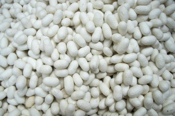 These are many silkworm (Bombyx Mori) cocoons. This is a natural source of silk before it's processed.Natural  yellow cocoon or silkworm nets for background, a source of silk thread and silk fabric