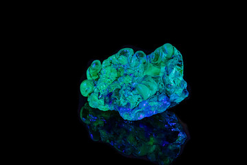 macro mineral stone opal under ultraviolet light on a black background