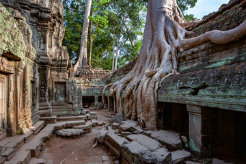 Ruins of Ta Prohm - Angkor Wat - Cambodia