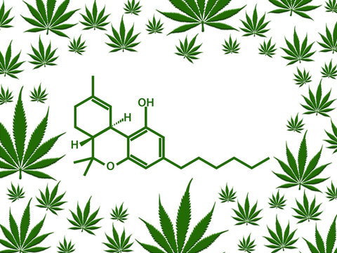 Marijuana Chemical Structure With Green Leaf Border