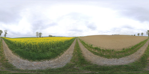 Spring in Rural Area 360 Panorama