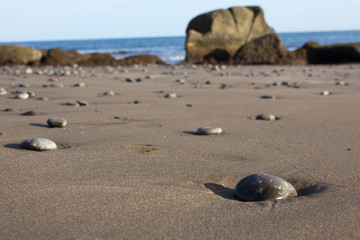 Fototapeta na wymiar Big rocks in sand behind atlantic sea