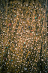 Obraz premium Paris, France - November 18, 2019: Big Tree with chewing gum in the near the tomb of Jim Morrison leader of the Doors Band