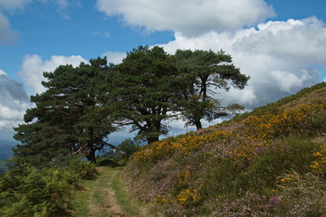 Obraz premium Landscape at the trail to viewpoint Saibi in Urkiola National Park in Spain,Europe