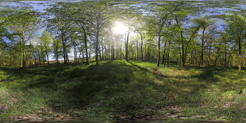 Frühlingspark 360-Grad-Panorama © Ruchacz