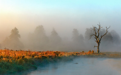 Jesienna Rzeka w Mgłach 