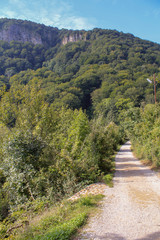 Obraz premium Droga gruntowa biegnąca między zielonymi drzewami w kierunku wierzchołka góry porośniętego drzewami ze stromymi klifami na tle błękitnego nieba