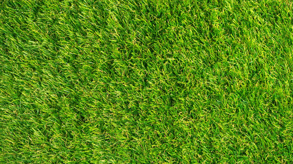 Artificial grass background. Synthetic turf texture, top view.