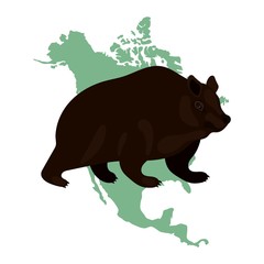 bear on white background vector map