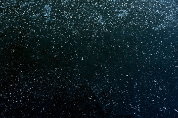 Dendrite crystals formed on the icy surface of forest lake. Close-up,  beautiful natural phenomenon.