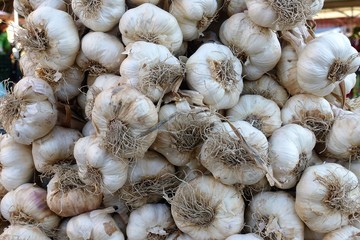 closeup of garlic on display at the market