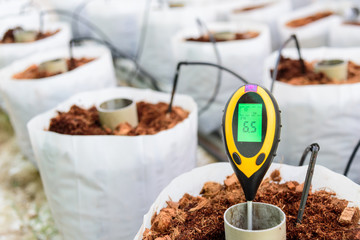 Use soil PH meter for check the PH value 