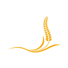 Agriculture Wheat logo template vector, Luxury Wheat Logo Concept, Icon Symbol