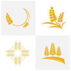 Set of Agriculture Wheat logo template vector, Luxury Wheat Logo Concept, Icon Symbol