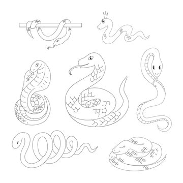 Snake vector illustration