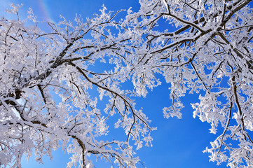 Winterzauber
