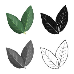 Vector illustration of leaf and green logo. Graphic of leaf and tea vector icon for stock.