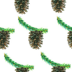 Pine branches with long pinecones, hand painted watercolor illustration, seamless pattern design on white background